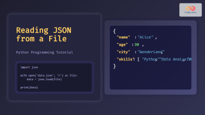 Reading JSON from a File - Python Programming Tutorial with Examples ...